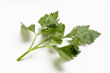 Bitkiler yemek için ot.