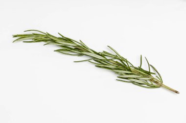 Bitkiler yemek için ot.