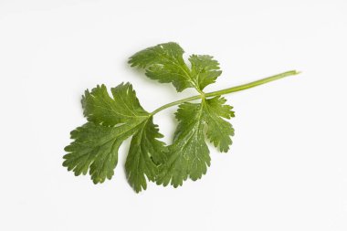 Yiyecek olarak bitkiler.