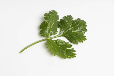 Yiyecek olarak bitkiler.