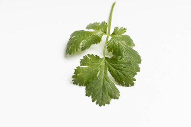 Yiyecek olarak bitkiler.