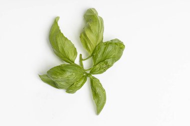 Yiyecek olarak bitkiler.