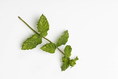 Yiyecek olarak bitkiler.