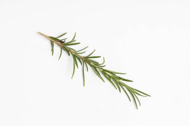 Yiyecek olarak bitkiler.