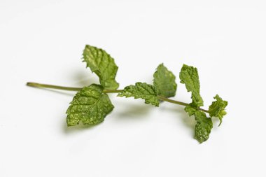 Yiyecek olarak bitkiler.