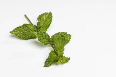 Yiyecek olarak bitkiler.