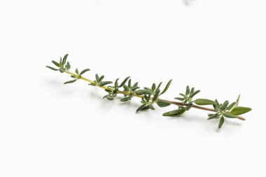 Yiyecek olarak bitkiler.