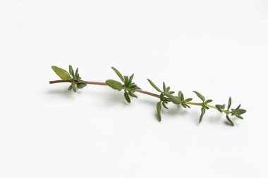 Yiyecek olarak bitkiler.