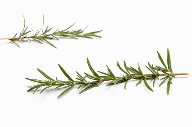 Yiyecek olarak bitkiler.