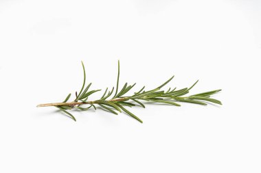 Yiyecek olarak bitkiler.