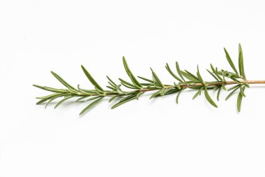 Yiyecek olarak bitkiler.