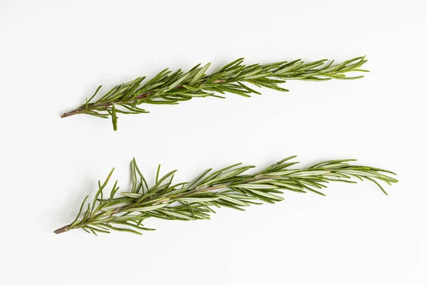 Bitkiler yemek için ot.