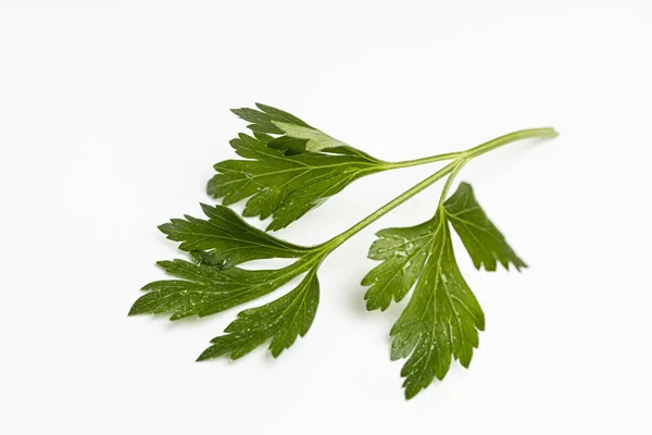 Bitkiler yemek için ot.