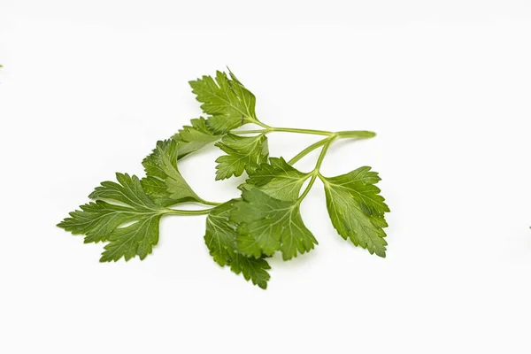 Bitkiler yemek için ot.