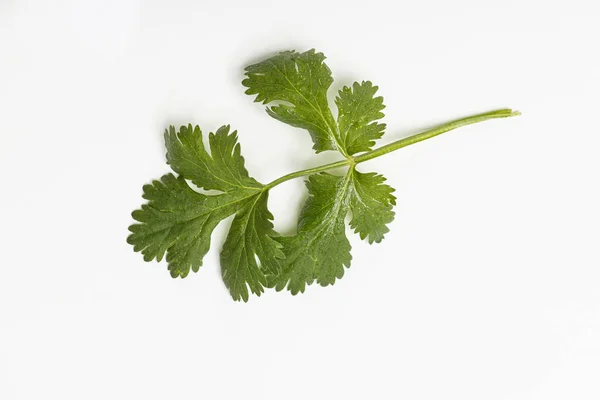 Yiyecek olarak bitkiler.