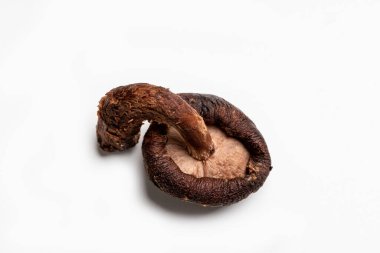 Yemek ve çorba için mantar.