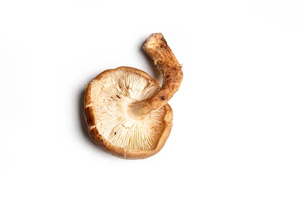Pilze Für Essen Und Suppe — Stockfoto