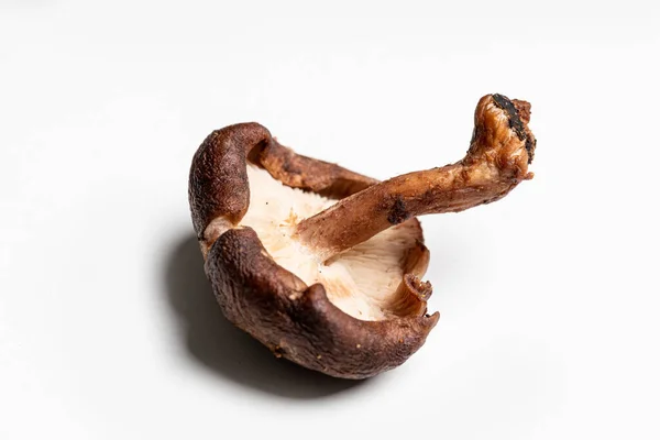 Pilze Für Essen Und Suppe — Stockfoto