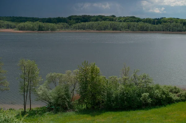 Güneşli bir günde gölün ve ormanın manzarası.
