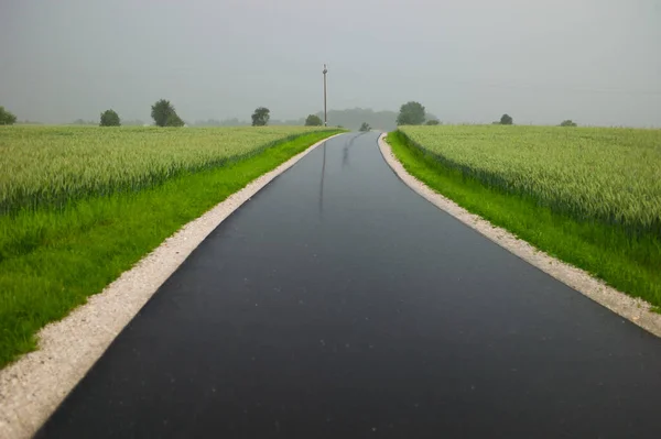 Yağmurlu bulutlu yeşil bir arazide ıslak bir yol.