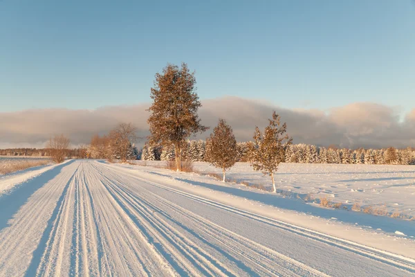 Зимняя дорога Стоковое Изображение