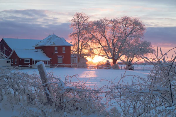 Net voor zonsopgang — Stockfoto