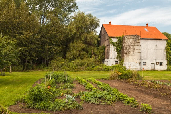 Landelijke tuin — Stockfoto