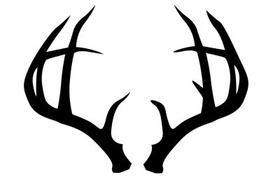 DEER ANTLERS clipart