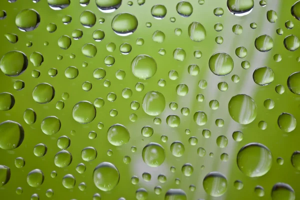 Water drops — Stock Photo, Image