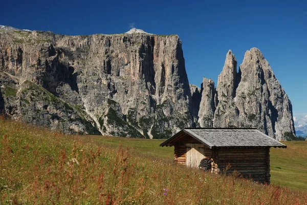 Dolomiten - Schililiar von der Seiser Alm — Stockfoto