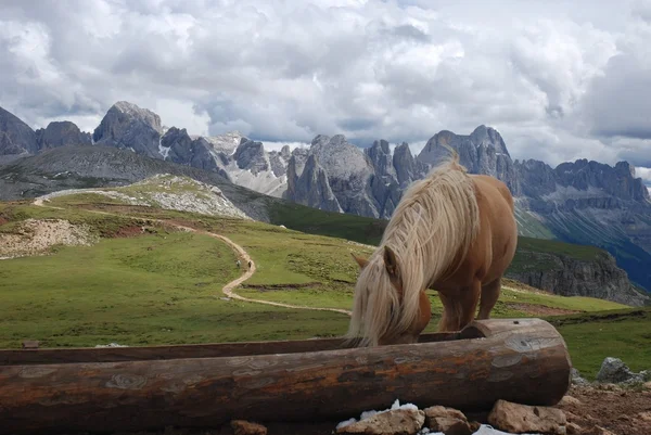 Dolomiterna — Stockfoto