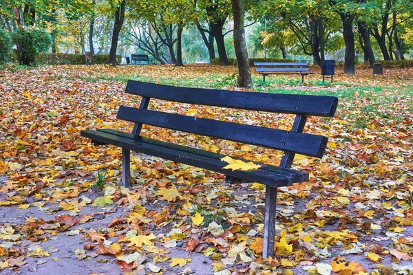 Lavička Podzimním Parku Padajícími Nažloutlými Listy — Stock fotografie