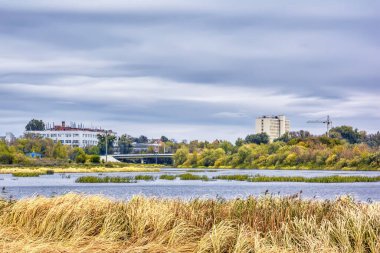 Sonbahar manzarası - ağaçlarla, çalılarla ve kasvetli hava evleriyle nehir ve kıyılar.