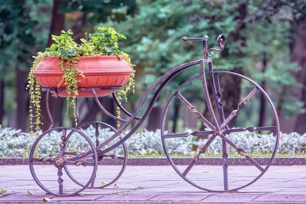 Aiuola Bicicletta Vintage Stilizzata Vicino Sul Vicolo Nel Parco — Foto Stock