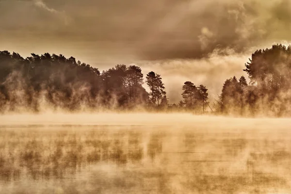 Aube Sur Lac Brouillard Épais Silhouettes Arbres Dans Les Rayons — Photo