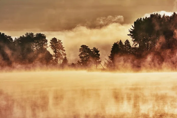 Aube Sur Lac Brouillard Épais Silhouettes Arbres Dans Les Rayons — Photo