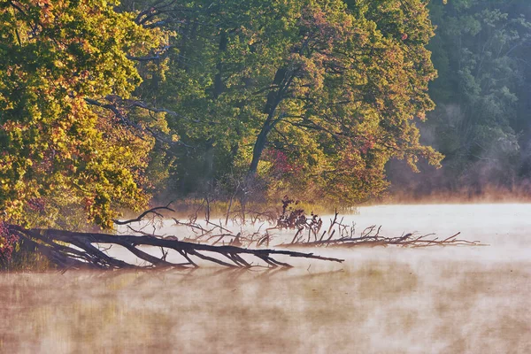 Paysage Dans Les Rayons Lever Soleil Matin Sur Lac Brouillard — Photo