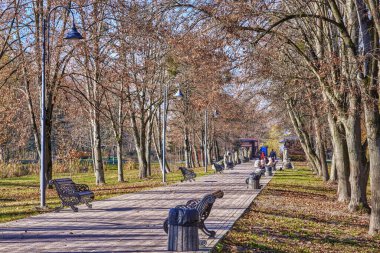 Sonbahar manzarası - sonbahar parkında kaldırım taşlarıyla kaplıdır..