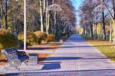 Sonbahar manzarası - sonbahar parkında kaldırım taşlarıyla kaplıdır..