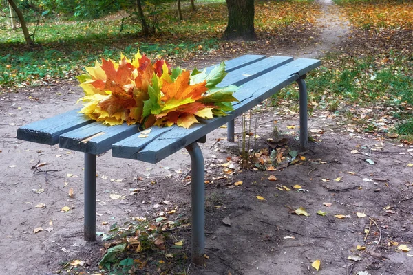 Kytice Žlutých Javorových Listů Lavičce Podzimním Parku — Stock fotografie