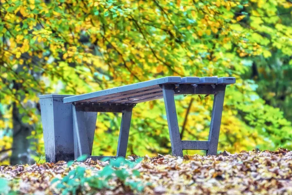 Lavička Popelnicí Podzimním Parku — Stock fotografie