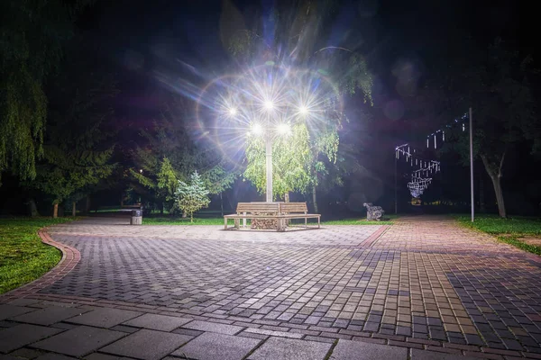 Parkban Macskakövekkel Kikövezett Elágazó Sikátorokat Éjszakai Lámpák Világítják Meg — Stock Fotó