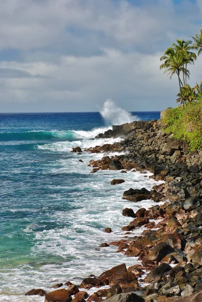 Waimea Bay — Stock Photo, Image