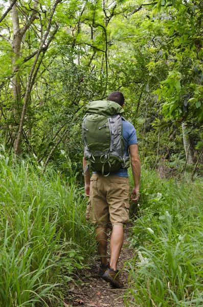 Ein Wanderer auf einem tropischen Pfad in Hawaii. — Stockfoto