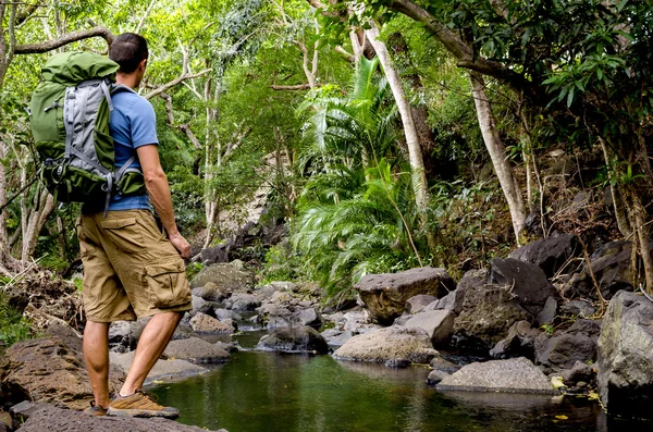 Senderista y Río Tropical — Foto de Stock