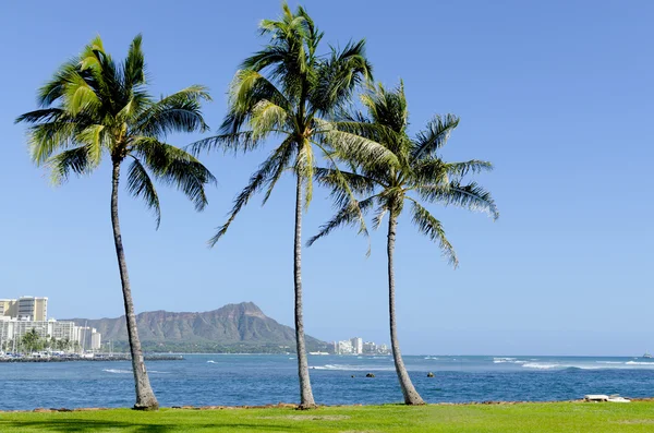 Ala Moana Beach Park in Waikiki, Hawaii. — Stockfoto