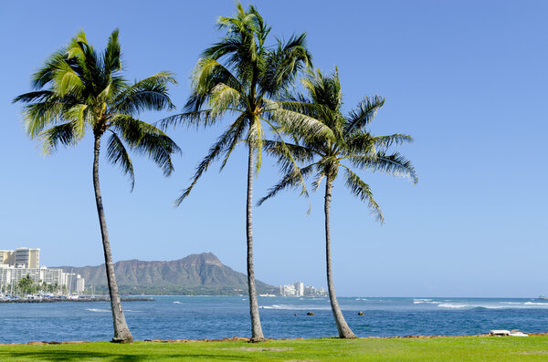 Ala Moana Beach Park in Waikiki, Hawaii. Royalty Free Stock Photos