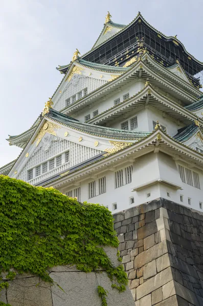 Osaka Kalesi osaka, Japonya.