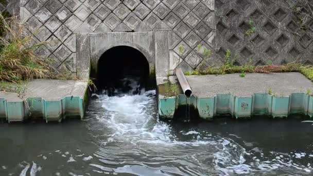 Water Discharging From Runoff Pipe — Stock Video