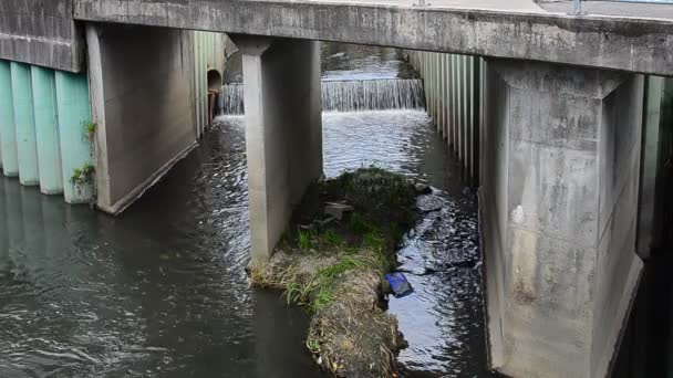 排水排入河污染物 — Stockvideo
